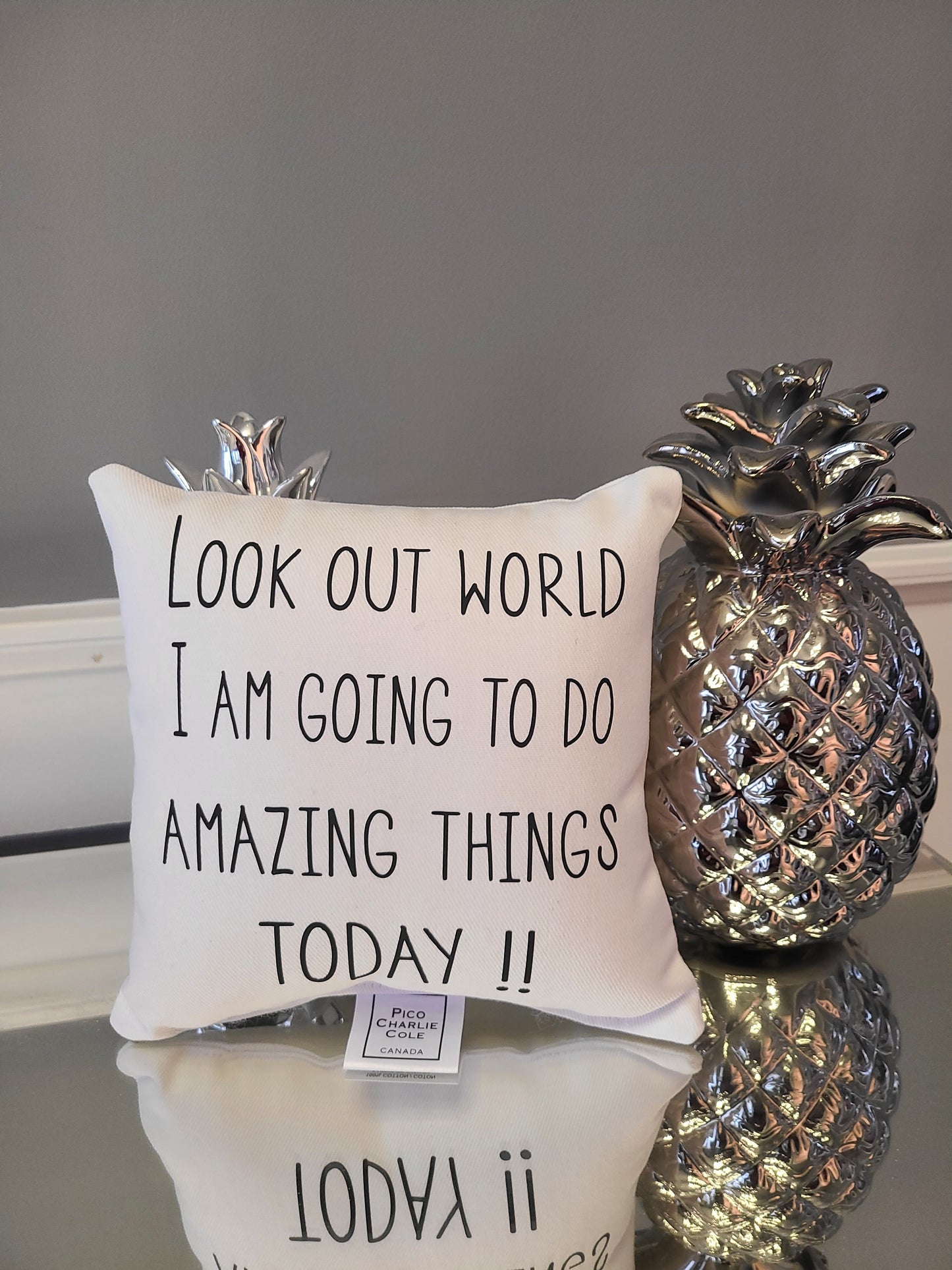Look out world Mini Pillow