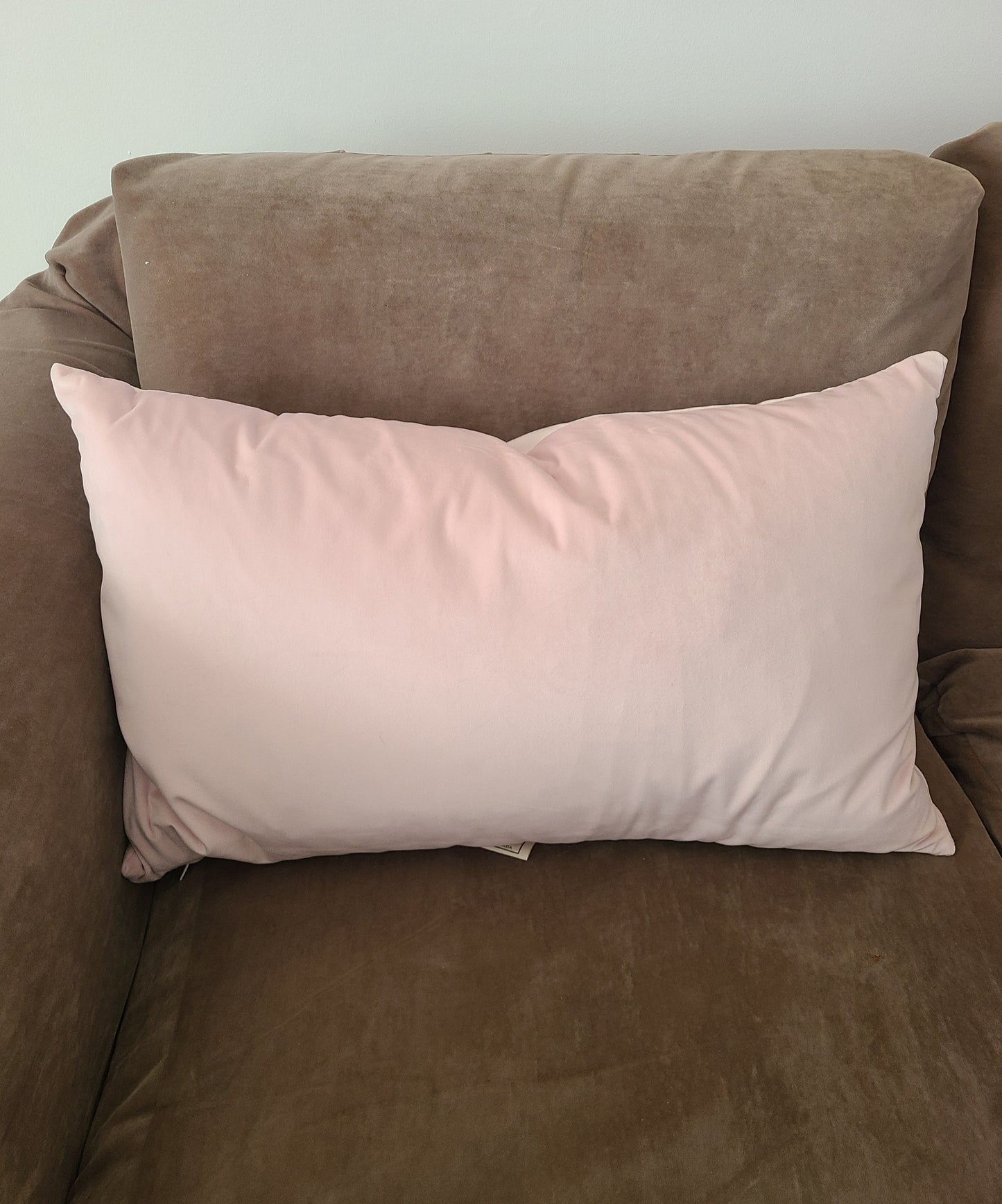 Velvet Blush Pink Pillows