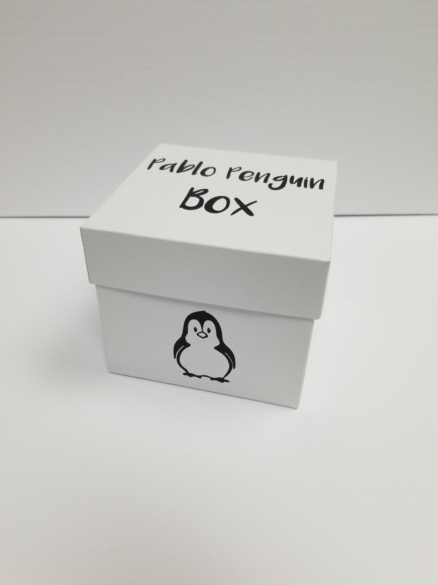 Pablo the Penguin  Animal Baby Box