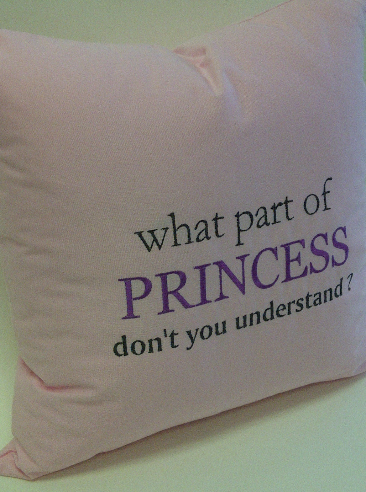 What part of Princess don't you understand Pillow