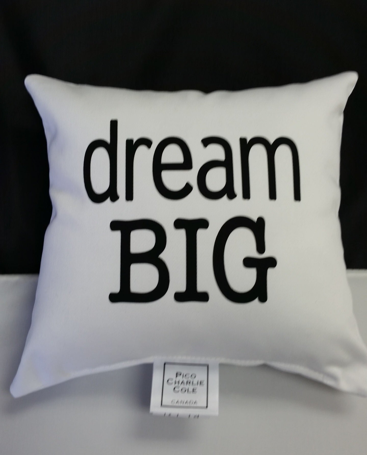 Dream BIG Mini Pillow