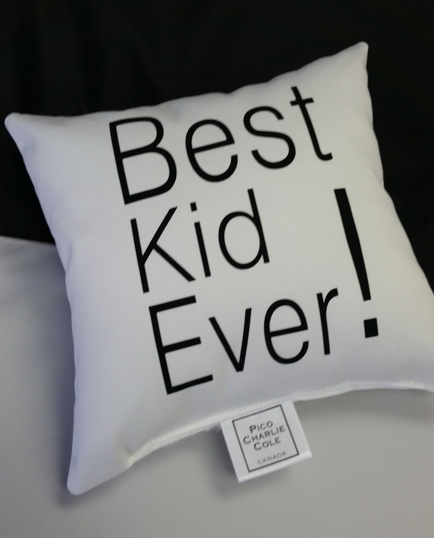 Best Kid Ever! Mini Pillow