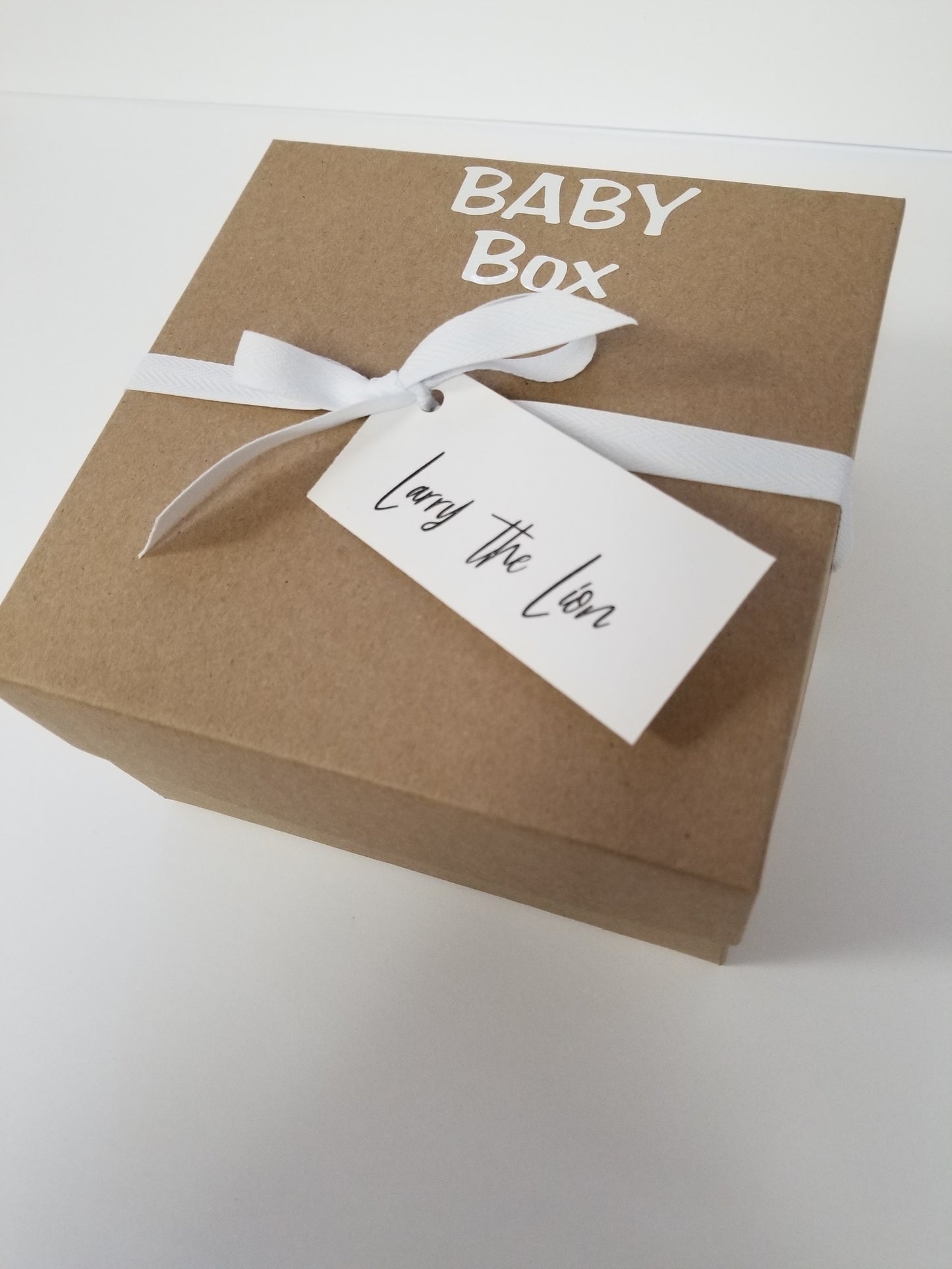 Larry the Lion Baby Box