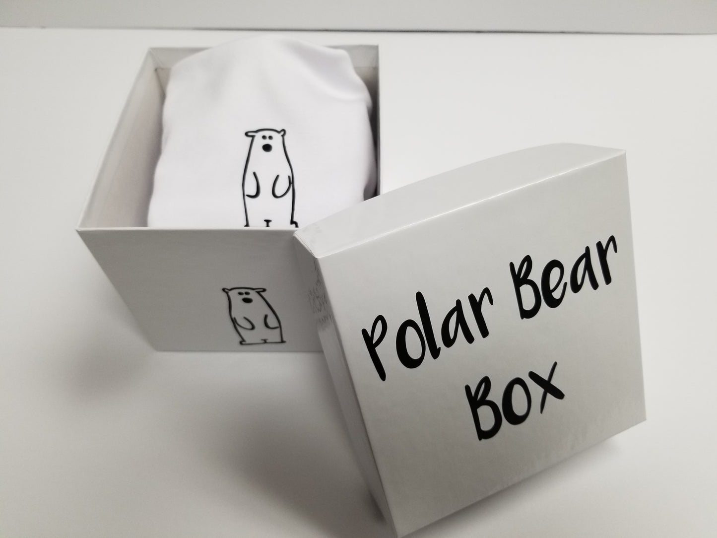 Polar Bear Animal Baby Box